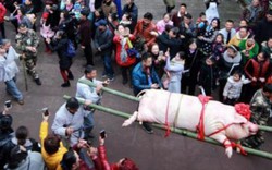 Du khách đổ xô xem lễ tế lợn có "một không hai" ở Trung Quốc