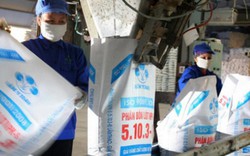 Lâm Thao cung ứng gần 4.000 tấn phân bón trả chậm