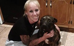Mỹ: Sốc khi thấy chó pit bull gặm xác nữ chủ nhân trong rừng
