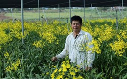 Giảng viên về vườn "nghịch đất" trồng lan Vũ nữ, lãi 50 triệu/tháng