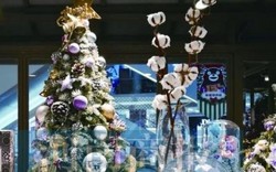 Không phải thông, cây bông mới là mặt hàng Noel yêu thích ở TQ, giá lên tới hơn 600 nghìn/cây