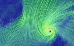 Bản tin bão 8h: Bão số 16 vào Biển Đông, nhắm thẳng Bà Rịa-Vũng Tàu đến Cà Mau