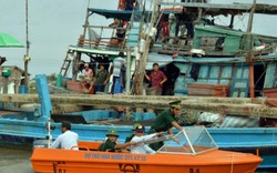 Cà Mau, Bạc Liêu: Cưỡng chế nếu dân không hợp tác tránh bão số 16