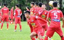 Chuyên gia Hàn Quốc mang quân HAGL dự giải BTV Cup 2017