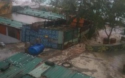 Hậu bão Tembin: Toàn bộ vườn rau xanh ở Trường Sa bị dập, nhiễm mặn