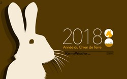 Tử vi tuổi Mão năm Mậu Tuất 2018