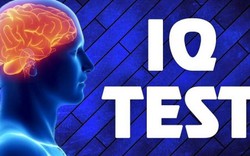 Muốn biết IQ của mình bao nhiêu, hãy trả lời 10 câu hỏi sau