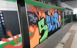 Người vẽ graffiti lên tàu đường sắt trên cao có thể bị ngồi tù