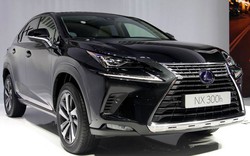 1,5 tỷ đồng là sắm được Lexus NX 300h mới toanh