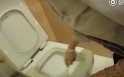 Phục vụ phòng khách sạn 5 sao Trung Quốc dùng cọ toilet rửa cốc