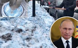 Kỳ lạ quê nhà Tổng thống Putin bị tuyết xanh bao phủ