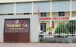 Đánh phụ nữ, Chánh tòa hình sự mất hết chức vụ