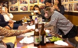 Thuê khỉ làm...bồi bàn, quán rượu ở Nhật Bản gây sốt