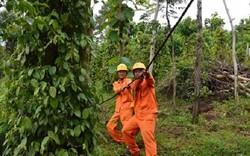 Đắk Nông: Thêm nhiều thôn buôn vùng sâu vùng xa có điện lưới quốc gia