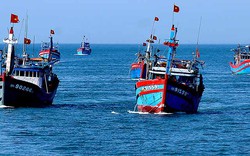 Kinh tế khu vực ven biển chiếm 60 - 70% GDP