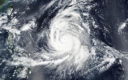 Thêm siêu bão sức gió 240 km/giờ hướng về Nhật Bản, Đài Loan