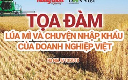 Chiều 5.10: Tọa đàm “Lúa mì và chuyện nhập khẩu của doanh nghiệp Việt”