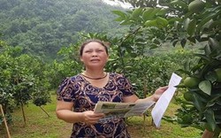 Tuyên Quang: "Phớt lờ" chỉ đạo của huyện, UBND xã làm khó người dân