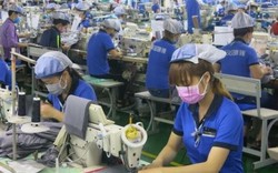Doanh nghiệp châu Âu muốn mở rộng kinh doanh tại Việt Nam