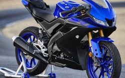 2019 Yamaha YZF-R125: Môtô nhỏ, giá mềm cực chất cho dân tập chơi