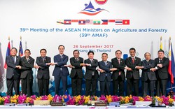 Bàn cách thúc đẩy tiềm năng nông nghiệp trong ASEAN