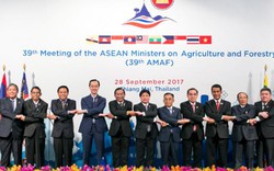 Thúc đẩy nông sản ASEAN tham gia chuỗi giá trị