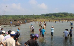 Hàng trăm người đổ xô bắt cá "bự" mắc kẹt ở đập hồ thủy điện Trị An