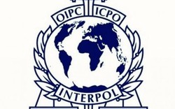 Quyền lực của Interpol