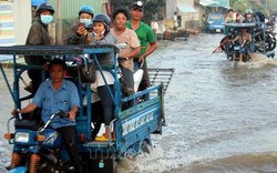 Triều cường ở Nam Bộ: Nước dâng như thác đổ, dân khổ sở chống chọi