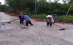 Xây dựng nông thôn mới ở Quảng Nam: Duy Phú ngày càng... trù phú