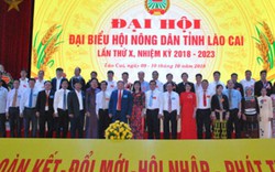 Đại hội Hội ND Lào Cai:  Đổi mới tư duy  sản xuất nông nghiệp