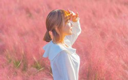 Cánh đồng cỏ hồng ở Hàn Quốc khiến Thúy Vân mê mẩn 'sống ảo'