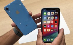 Tại sao iPhone Xr có thể đóng vai trò vô cùng quan trọng cho Apple?