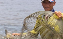 Độc đáo: Nghề đẩy côn, úp nơm bắt cá mùa nước nổi ở Long An