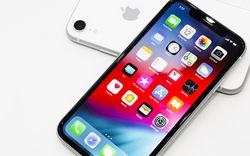 Apple sẽ bán vỏ bảo vệ giữ nguyên màu sắc của iPhone XR