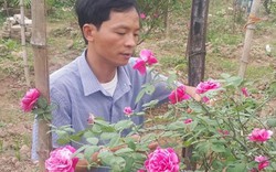 U40 Ninh Bình “liều mạng” cầm cố nhà cửa vì phải lòng hoa hồng cổ