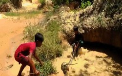 Hãi hùng khoảnh khắc hai đứa trẻ dùng tay giải cứu khỉ bị trăn khổng lồ siết chặt