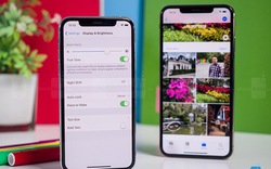 Doanh số iPhone XS và XS Max tăng mạnh tại Mỹ