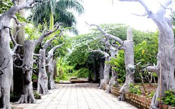 Không riêng Mỹ Linh, các sao Việt này cũng sở hữu nhà vườn hàng nghìn m2