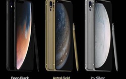 iPhone XS Max chỉ là "muỗi", iPhone 2019 sẽ khiến bạn bấn loạn thực sự