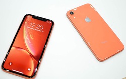 Được kỳ vọng nhiều nhưng liệu iPhone XR có đang “bán ế”?