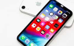 Bạn có nên chi tiền nâng cấp từ iPhone SE lên iPhone XR?