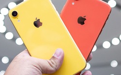 Apple cập nhật phí sửa chữa iPhone XR, ít tốn kém hơn loạt iPhone X