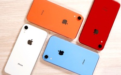 Lý giải bất ngờ về tên gọi của iPhone Xr