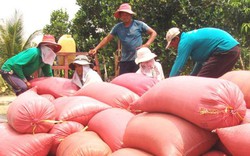 Thanh niên nông thôn rục rịch xuất ngoại lao động