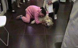 TQ: Đau đớn khóc thảm thiết vì chó đem từ Mỹ về bị hàng xóm đầu độc
