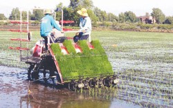 Long An nhanh chóng giảm nghèo