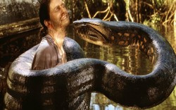Chuyện chưa kể: Quái vật rắn khổng lồ cai trị thời tiền sử Colombia