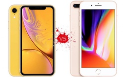 Có nên nâng cấp iPhone 8 Plus lên iPhone Xr?