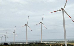Dự án điện gió tại VN: Đăng ký nhiều, thực hiện trên đầu ngón tay